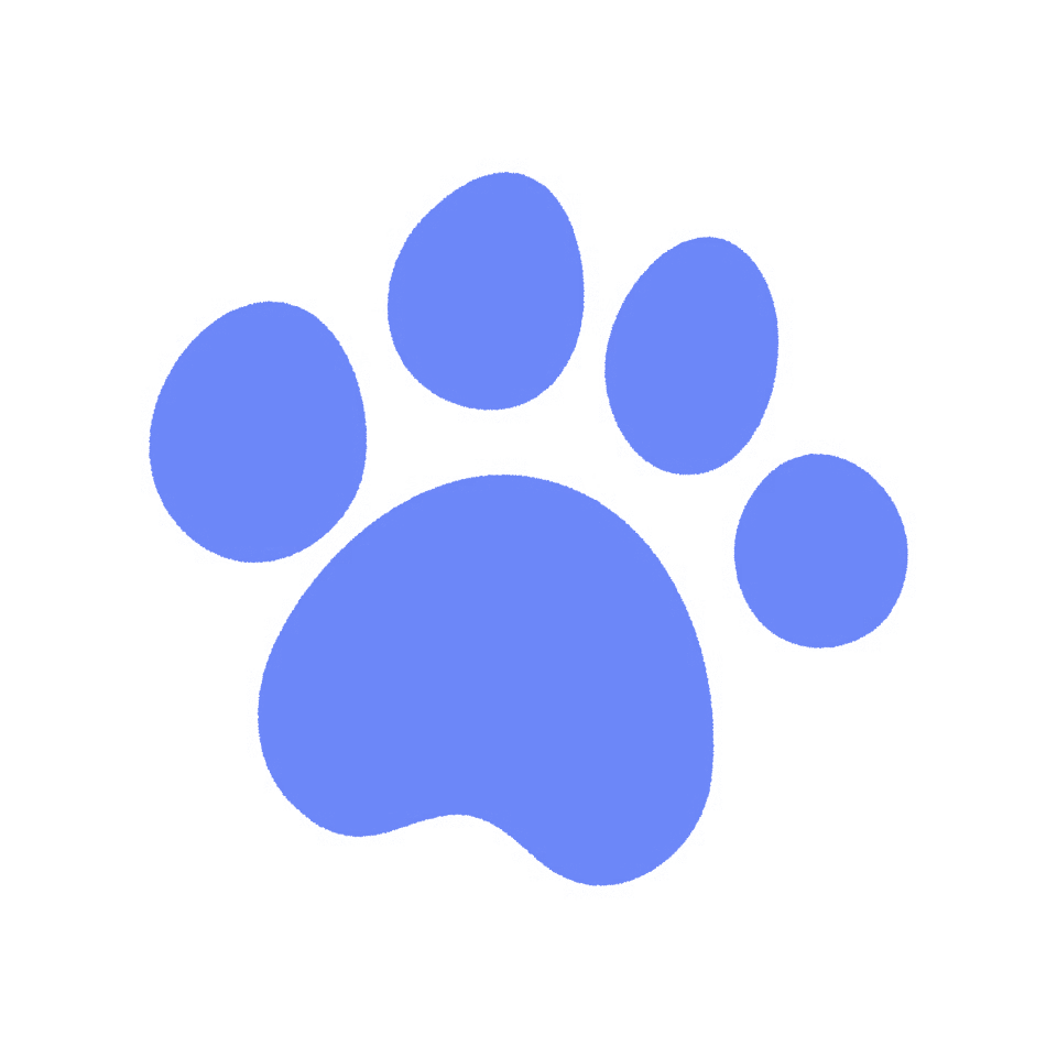 Pets